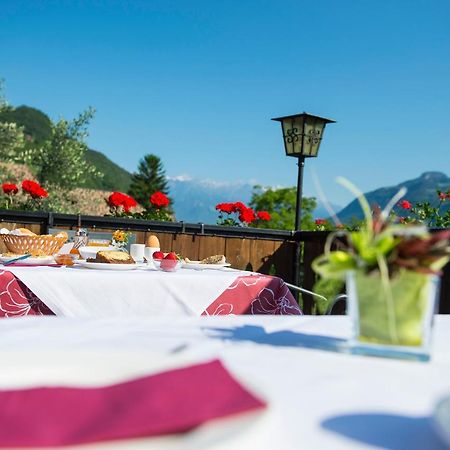 Pension Stamserhof Nalles Exterior foto